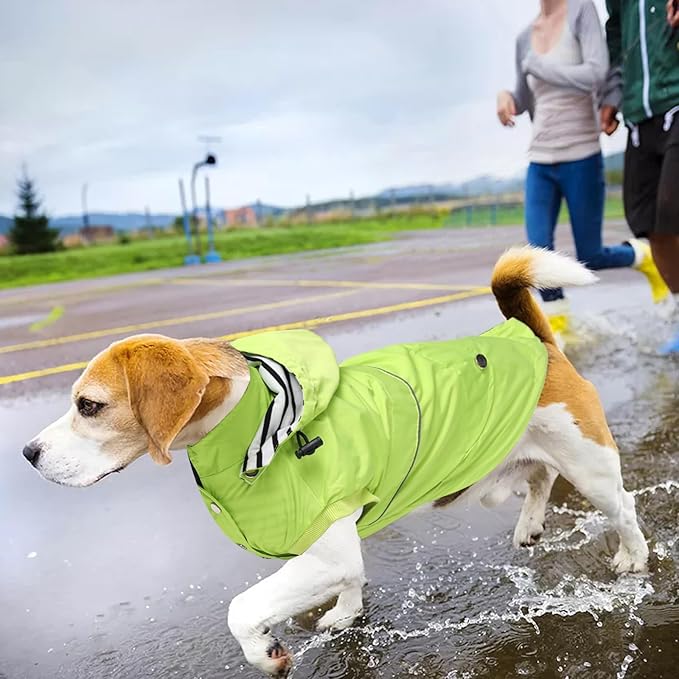 Dog Raincoat Waterproof Raincoats Dog rain Jacket Buttons Zipper Hood Drawstring Suitable for Small Medium Yorkie Terrier Schnauzer Poodle Border Collie Labrador 8lbs to 80lbs Green XL