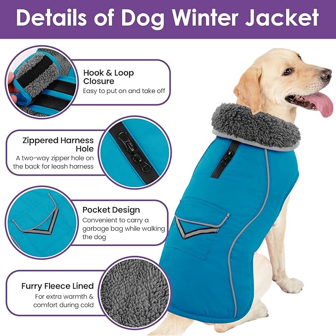 SUNFURA Small Dog Coat, Warm Dog Winter Jacket, Reflective Pet Snow Jacket with Fleece Lined, Waterproof Puppy Snowsuit Pet Sweater Clothes for Small Dogs, Turquoise XS