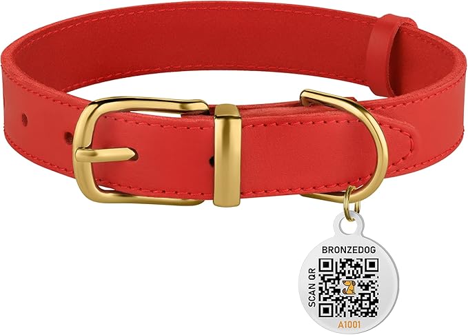 BRONZEDOG Leather Dog Collar with Metal Buckle Durable Basic Pet Collars for Small Medium Large Dogs (14-17 Inch (Pack of 1), Red & Gold Buckle)