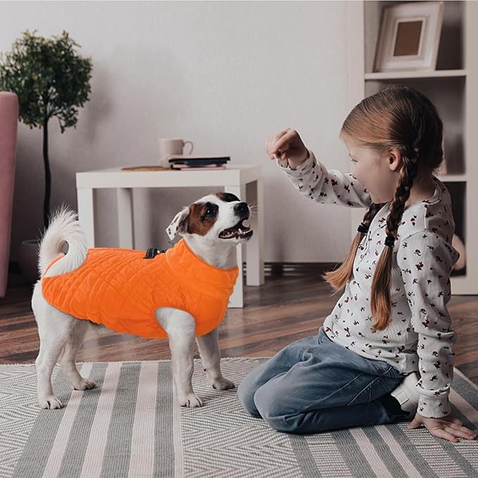Kuoser XXL Winter Coat | Giant Breed Armor for Mastiffs & Great Danes | Zippers Secure Dogs in -20°F, Reflective Panels for Mountain Hikes, Orange XL