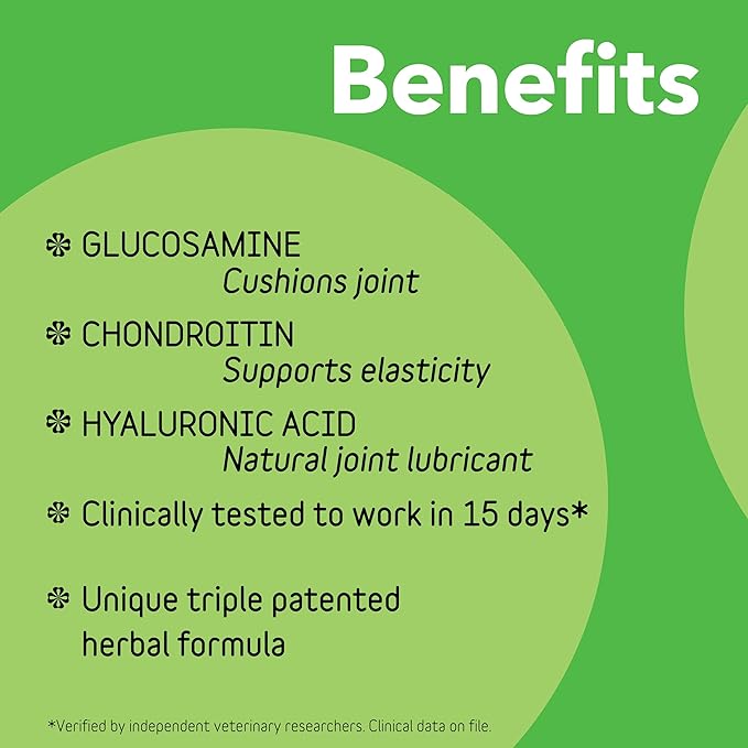 InClover Connectin Natural Hip & Joint Supplement for Dogs with Glucosamine, Chondroitin & Hyaluronic Acid - Soft Chew for Dog Mobility, Comfort & Active Lifestyle Support, 300 Count