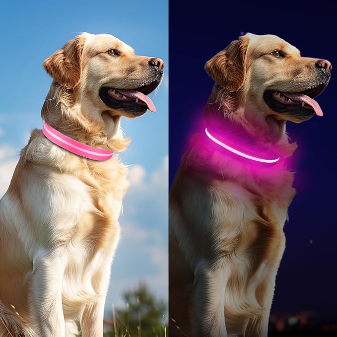 Light Up Dog Collar, Adjustable USB Rechargeable Glow in Dark Dog Collar ，Waterproof Dog Collars for Small Dogs (Pink, Small)