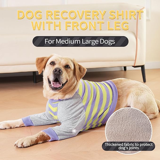 FUAMEY Dog Recovery Sleeve with Elbow Protector,Dogs Shirt Stop Licking Joints,Pet Long Sleeve Suit Protecting Dog's Front Leg Arm Wounds Cover Skin Conditions Purple Stripes 2XL