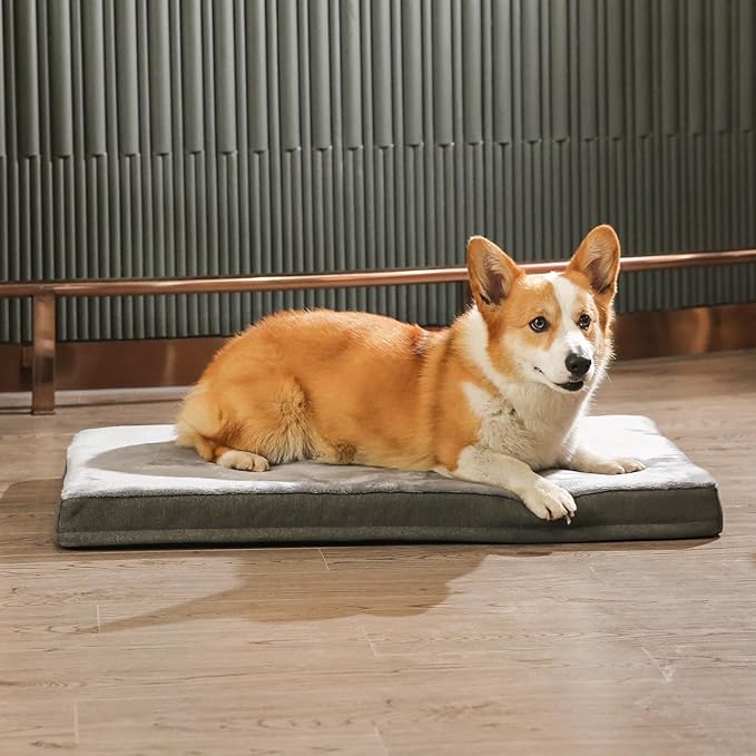Amazon Basics Dog Bed with Cooling Gel Memory Foam, Pressure-Relief Support for Dogs up to 120lbs, Non-Slip Bottom, Machine Washable Cover, Giant Sized (50" x 34"), Grey