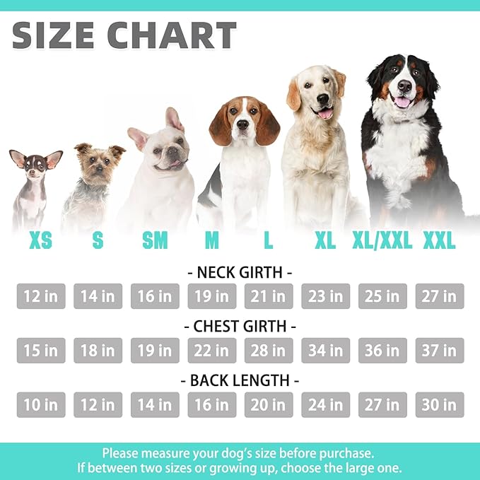 KOOLTAIL Basic Dog Hoodie - Soft and Warm Pet Hoodie Sweater with Leash Hole and Pocket, Dog Winter Coat, Cold Weather Clothes Sweatshirt for Small Medium Large Dogs Puppy Cat Boys Girls Lake Blue XXL