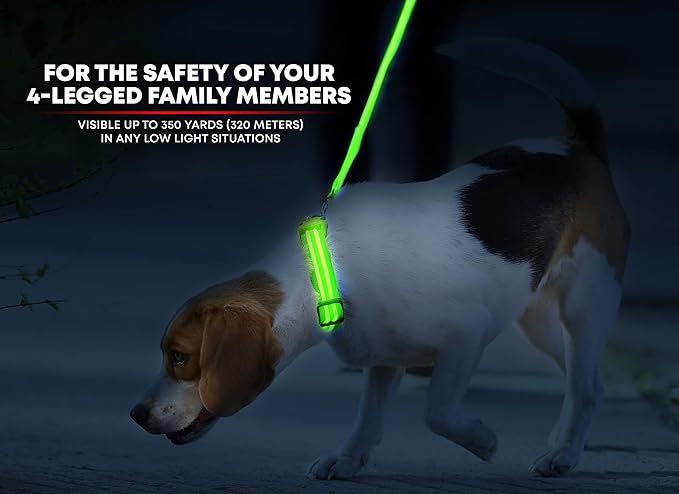 Illumiseen LED Dog Collar USB Rechargeable - Bright & High Visibility Lighted Glow Collar for Pet Night Walking - Weatherproof, in 6 Colors & 6 Sizes (Green Large)