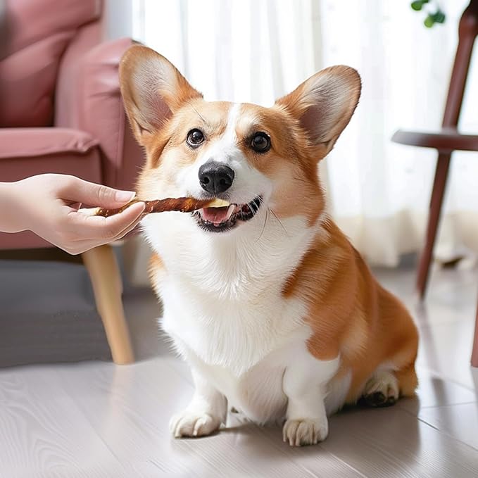 Dog Treats, 5 Inch Duck Wrapped Rawhide Sticks for Dogs, Teeth Cleaning Dog Chew Snacks for Puppy and Small Dogs, 14.1oz