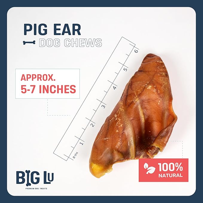 Big Lu – Pig Ear Dog Chews, 12 Count, All-Natural Single-Ingredient Pork Treats, Easily Digestible, Supports Joint Health with Glucosamine and Chondroitin