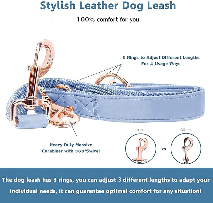 Soft Leather Dog Collar and Leash (6.6') Set - Stylish Rose Gold Heavy Duty Metal Buckle, 4 Adjustable Lengths Leash for Small Medium Large Dogs - Comfortable & Easy to Clean Blue Purple XS(8"-12")