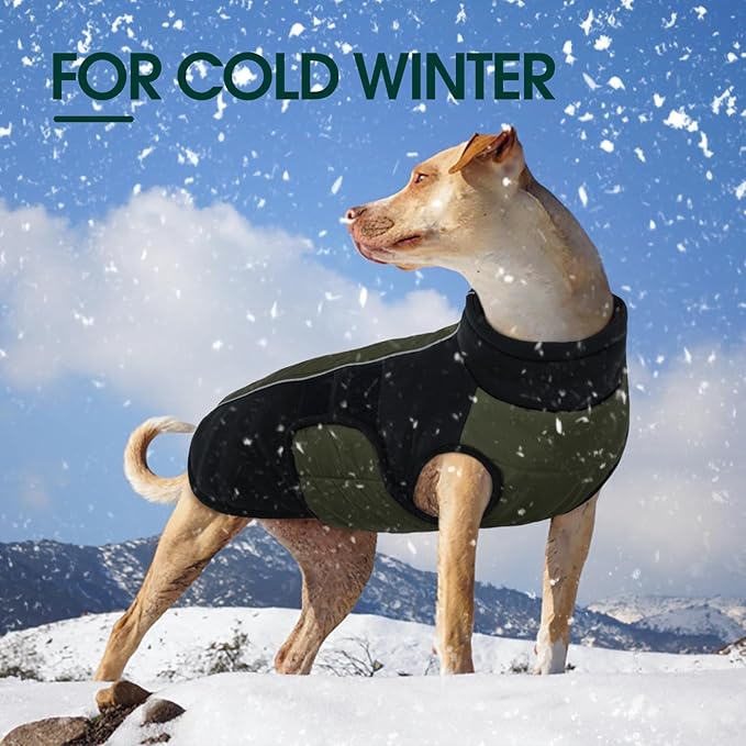 Kuoser Large Dog Coat, Winter Waterproof Dog Jackets for Large Dogs, Reflective Doggie Vest with Leash Hole, Cold Weather Coats Pet Snow Jacket for Labrador Beagle, Green XXL