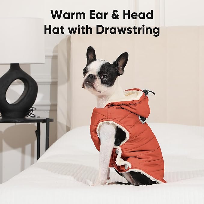 Fleece Lining Dog Hoodie with Harness Built in,Extra Warm Small Dog Jacket in Winter Puppy Coats with Drawstring Hooded,Orange S