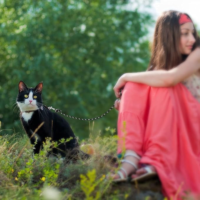 Rypet Reflective Cat Long Leash - 15 FT Escape Proof Walking Leads Yard Long Lead Durable Safe Personalized Extender Leash Traning Play Outdoor for Kitten, Puppy, Rabbit and Small Animals