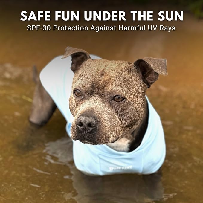 Spark Paws Sunblock Dog T-Shirt, SPF30 Protection, Lightweight Breathable Quick Dry for Dogs with Sensitive Skin - Blue & Grey (Set of 2) - L