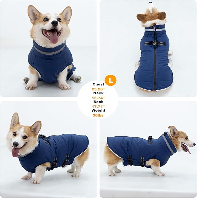 Large Dog Coat with Harness Built-in, Waterproof Reflective Fleece Lined - Warm Windproof Winter Jacket with Back Zipper, Cold Weather Snow Dog Coats - Blue - 3XL