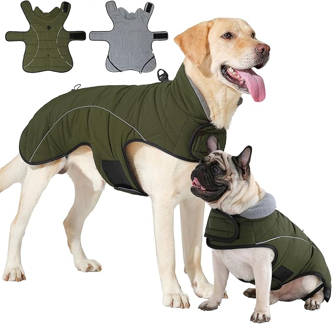 HEYWEAN Dog Winter Coat - Waterproof Windproof Reflective Vest for Medium & Large Breeds Adjustable Warm FleeceLined Jacket with Magic Tape & D-Ring for Leash Cold Weather Apparel (Green, Medium)
