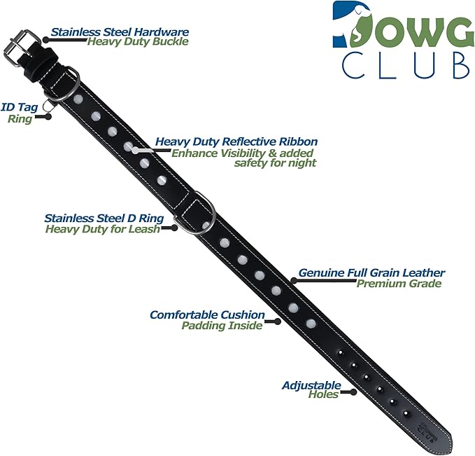 | Genuine Leather Dog Collar | Full Grain, Heavy Duty | Comfortable, Padded, Strong | Best for Pups, Small, Medium, Large & XL Breeds (Large (Fit Neck Size 18.5"-22.5"), Raven)