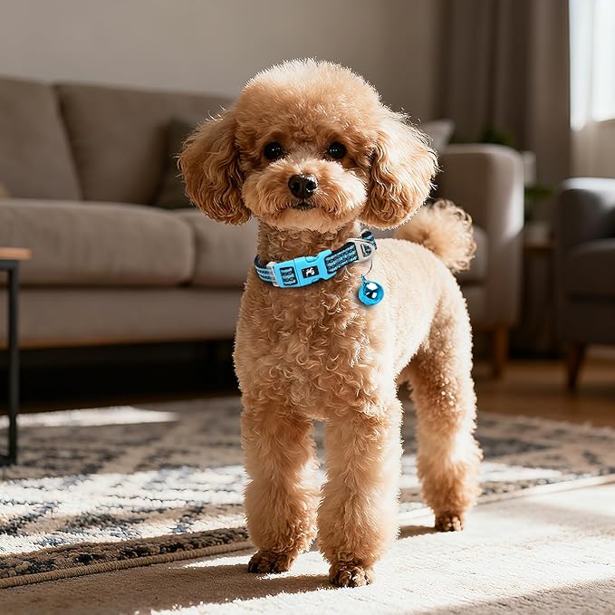 Reflective Dog Collar with Bell - Hypoallergenic Adjustable Nylon Puppy Collar for Night Safety, Soft Comfort Fit Small Dogs & Cats, Blue X-Small