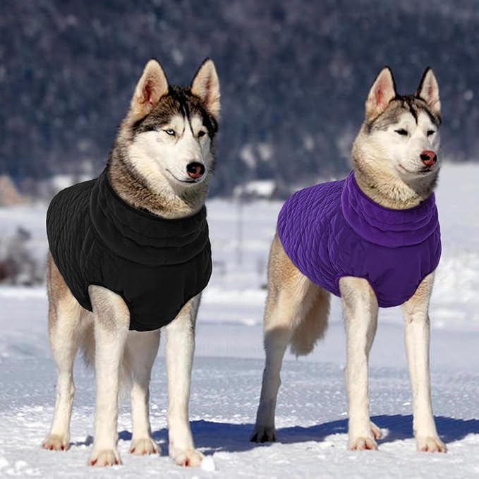 Kuoser Medium Dog Coat | All-Breed Thermal Wear with Windproof Layer | Reflective Tabs Enhance Visibility in Snow, Snap Buckles Simplify Dressing, Purple M