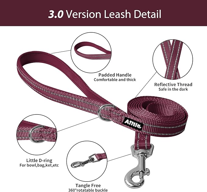 AIITLE Step in Dog Harness and Leash Set - Summer No Pull Escape Proof Vest Harnesses with Soft Mesh and Reflective Bands, Adjustable Pet Outdoor Harnesses for Small and Medium Dogs Burgundy M