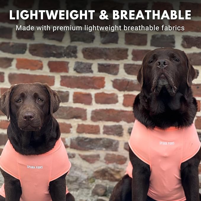 Spark Paws Sunblock Dog T-Shirt, SPF30 Protection, Lightweight Breathable Quick Dry for Dogs with Sensitive Skin - Peach & Mint (Set of 2) - M