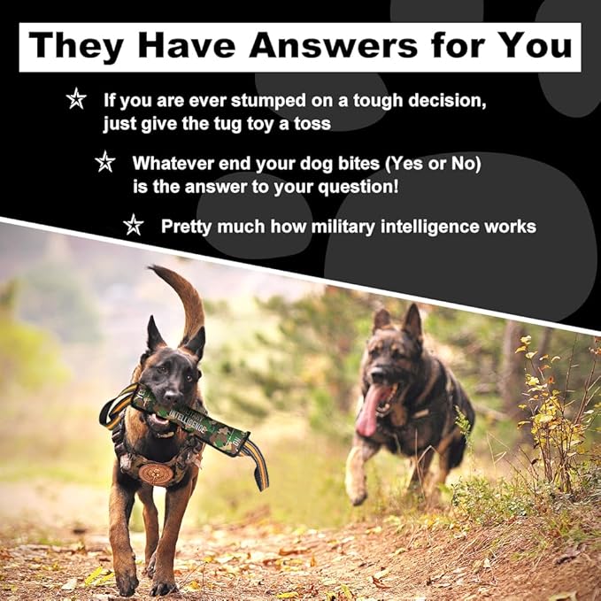 Operation Good Boy Tug Toy for Dogs – Made with Military Intelligence, Durable Interactive Training and Play Toy for All Dogs