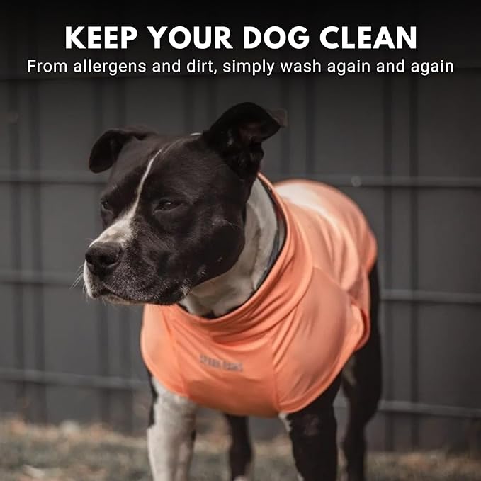 Spark Paws Sunblock Dog T-Shirt, SPF30 Protection, Lightweight Breathable Quick Dry for Dogs with Sensitive Skin - Purple & Peach (Set of 2) - M
