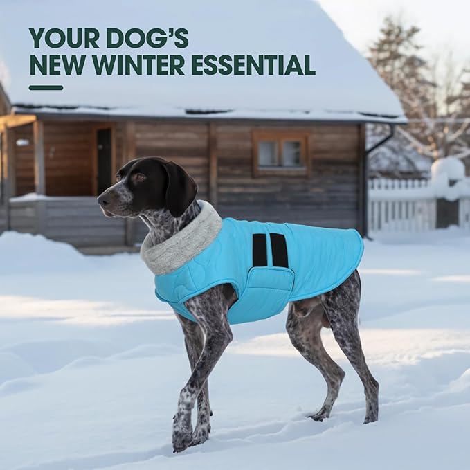 Kuoser Dog Jacket, Winter Dog Coats for Medium Dogs, Cold Weather Coats Pet Clothes, Doggie Snow Jacket for Frech Bulldog, Boston Terrier, Blue L