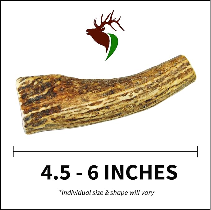 Small Whole Twin Pack (for 10-30 lb Dogs and Puppies) Premium Grade Elk Antlers for Dogs (2 Pieces) Sourced in The USA