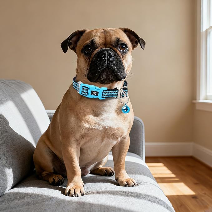 Reflective Dog Collar with Bell - Hypoallergenic Adjustable Nylon Puppy Collar for Night Safety, Soft Comfort Fit Small Dogs & Cats, Blue X-Small