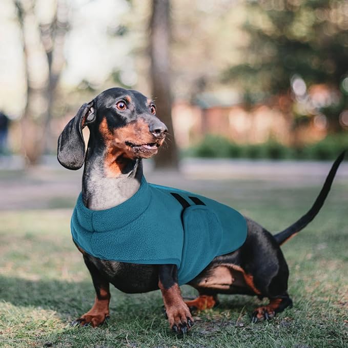 Queenmore Dog Sweaters - Soft Fleece Pullover Jacket, Warm Winter Dog Clothes, Dachshund & Cat Size, Boy or Girl (Peacock-Blue, S)