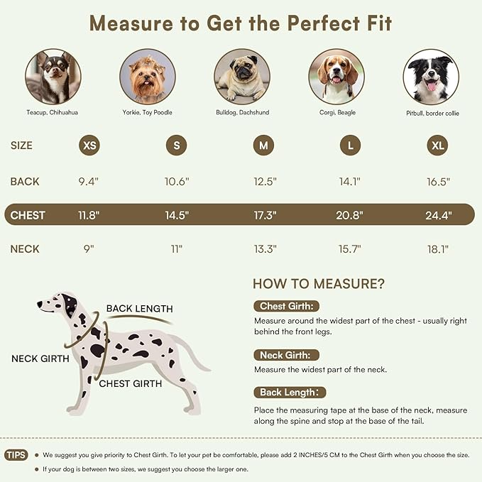 Queenmore Pullover XL Dog Sweater,Classic Turtleneck Warm Pet Sweater with Leash Hole for Dog Girls Boys,Winter Knitwear Clothes for Dachshund,Corgi,French Bulldog(Khaki,XL)