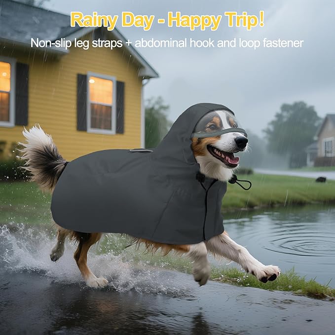 DENTRUN Dog Raincoat for Small Dogs (Chihuahua, Pomeranian) – Waterproof & Windproof, Lightweight for Walking, Hiking, Outdoor – Adjustable Hood, Leg Straps & Reflective Strips, S