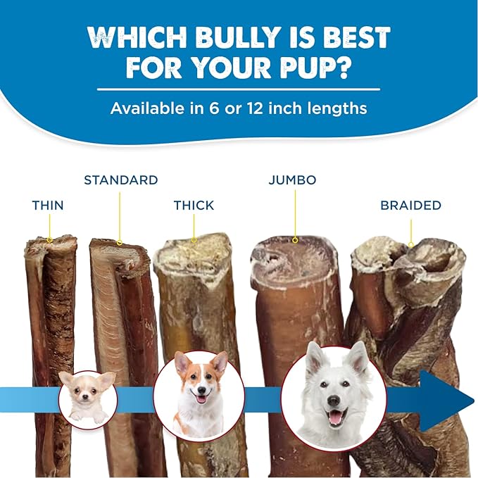 Best Bully Sticks Natural Jumbo Bully Sticks for Large Dogs - 6 Inch, 4 Count (Pack of 1) - 100% Free-Range Grass-Fed Beef, Single-Ingredient, Grain and Rawhide Free Long Lasting Dog Chews