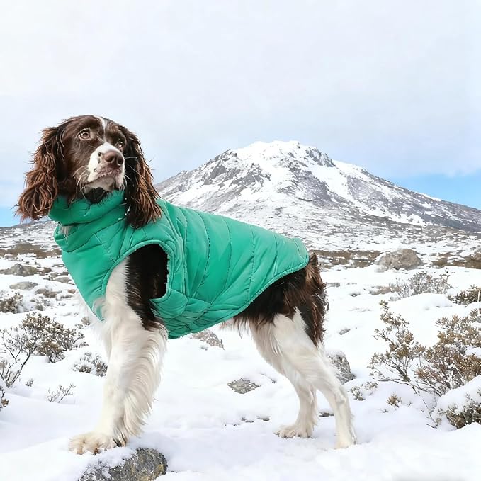 Dog Coat for Large Dogs, Dogs Snow Jacket with Back Zipper, Winter Warm Dog Puffer Vest with Detachable Neck Wrap, Winter Pet Clothes Elastic Band on Chest for Springer, Dalmatian, Green L