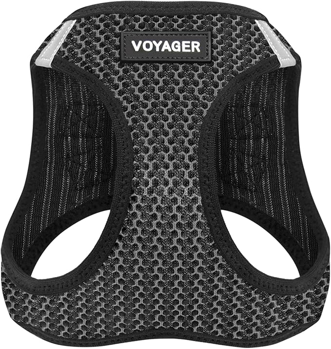 Best Pet Supplies Voyager Step-in Air Harness - All Weather Mesh, Reflective, No Pull Harness for Dogs, Cats - Secure with Hook & Loop Fastener, Buckle, Double D-Rings - Tone, XS
