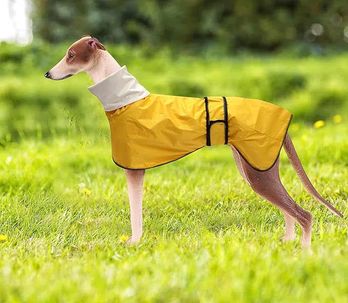Morezi Dog Raincoat with Reflective Bar, Rain/Water Resistant, Adjustable Vest - Dog Raincoats for Greyhounds, Lurchers and Whippets - Yellow - Large