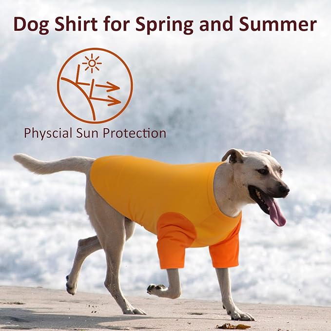 2 Pack X-Large Dog Shirts - Breathable Lightweight Durable Tees, Durable Moisture-Wicking Clothes for Beagle, Bullmastiff, Sleeping Hot Summer Day Outdoor Activities, Travel, Seaside, Orange