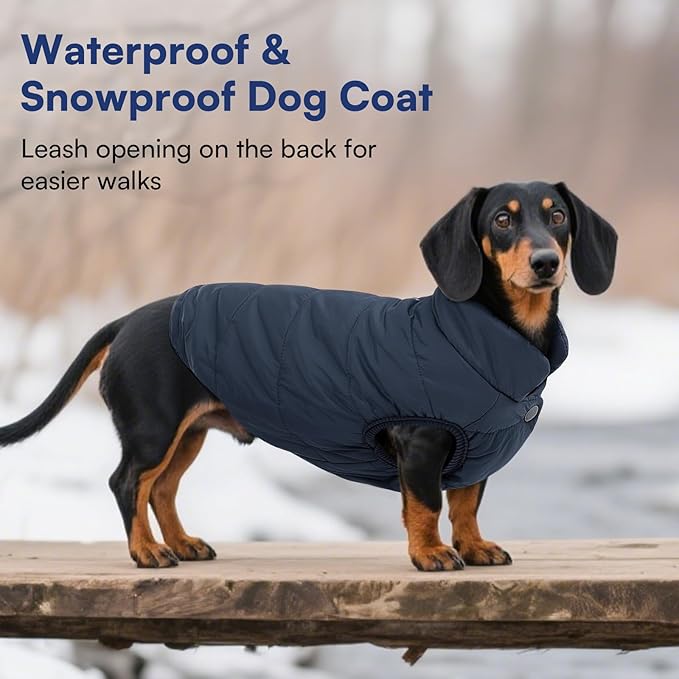 ASENKU Dog Winter Coat - Waterproof Windproof Dog Jacket, Warm Snowproof Doggie Puffer Vest for Cold Weather, Lightweight Snow Coats for Small Medium Large Dogs (2XL, Blue)