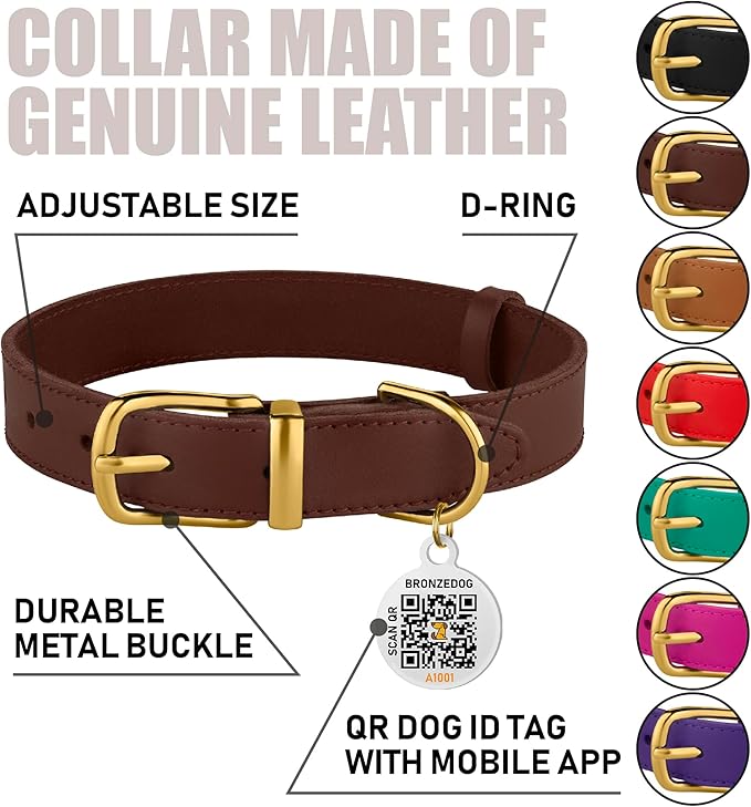BRONZEDOG Leather Dog Collar with QR ID Tag Basic Pet Collars for Small Mini Dogs Cats Puppies (9-11 Inch (Pack of 1), Dark Brown & Gold Buckle)