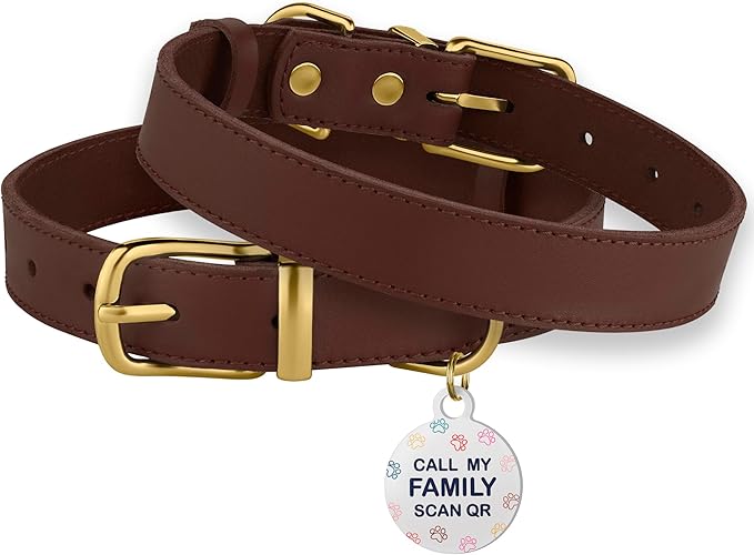 BRONZEDOG Leather Dog Collar with Metal Buckle Durable Basic Pet Collars for Small Medium Large Dogs (13-16 Inch (Pack of 1), Dark Brown & Gold Buckle)
