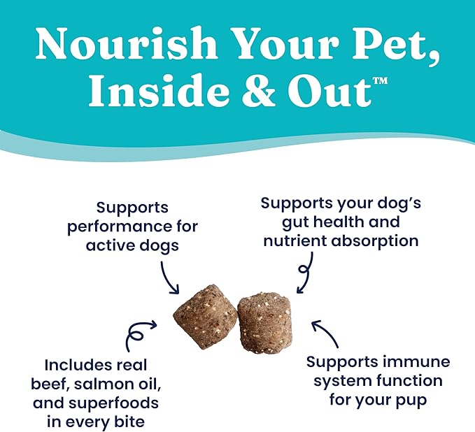 Solid Gold Healthy Dog Treats - Functional Beef Soft Dog Treat w/Salmon Oil & Superfoods for Gut Health & Performance for Active Dogs - Healthy Training Treats for Dogs of All Ages & Sizes - 5.2oz