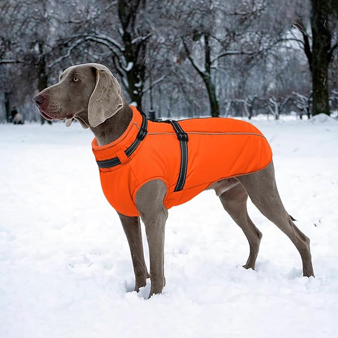 Lelepet Dog Winter Coat Waterproof Dog Jacket with Harness Built in Windproof Reflective Pet Coats for Small Medium Large Dogs, Thermal Fleece Lined Coats for Cold Weather Walking Hiking, Orange, L