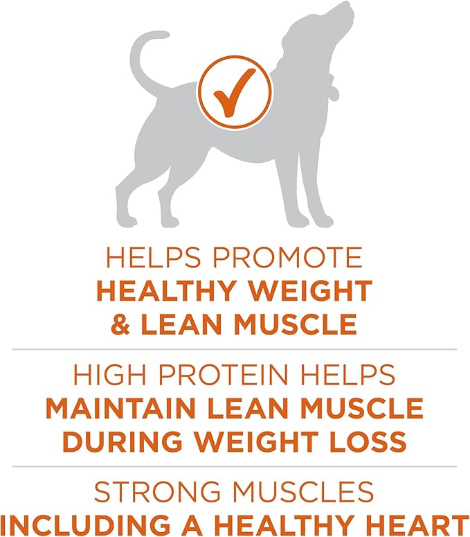 Purina ONE Plus Healthy Weight High-Protein Dog Food Dry Formula - 31.1 lb. Bag