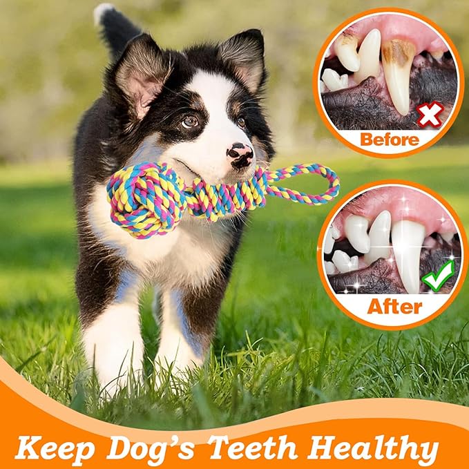 Dog Outdoor Bungee Tug Hanging Toy, Tether Tug of War Toys for Pitbull Small Large Aggressive Chewers Dogs to Exercise Solo Play, Tree Tugger Interactive Tug Toy, Dog Rope Toys