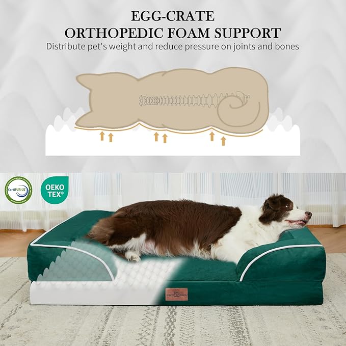 Comfort Expression Orthopedic Dog Bed for Small Dogs 24x16 Inch, Waterproof Supportive Egg Crate Foam Small Pet Bed with Removable Bolsters, Dog Couch with Washable Cover & Non-Slip Bottom, Emerald
