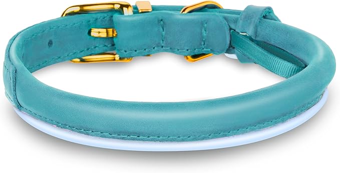 OOPSDOGGY Reflective Rolled Leather Dog Collar Adjustable Soft Padded Pet Collar for Small Medium Large Breed Dogs (Teal, XL, 17"-21")