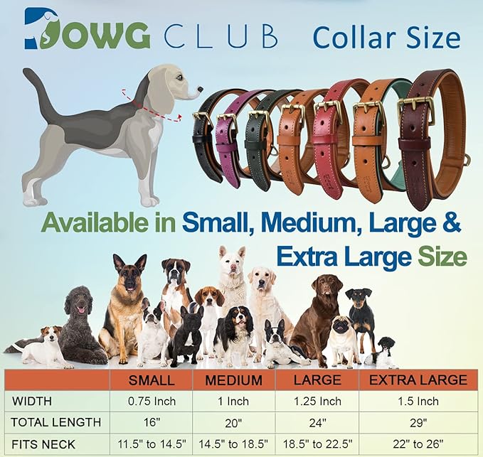 | Genuine Leather Dog Collar | Full Grain, Heavy Duty | Comfortable, Padded, Strong | Best for Pups, Small, Medium, Large & XL Breeds (Large (Fit Neck Size 18.5"-22.5"), Shirt Collar - Tan)