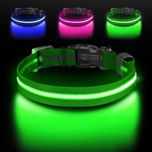 Light Up Dog Collar, Adjustable USB Rechargeable Glow in Dark Dog Collar ，Waterproof Dog Collars for Medium Dogs (Green, Medium)