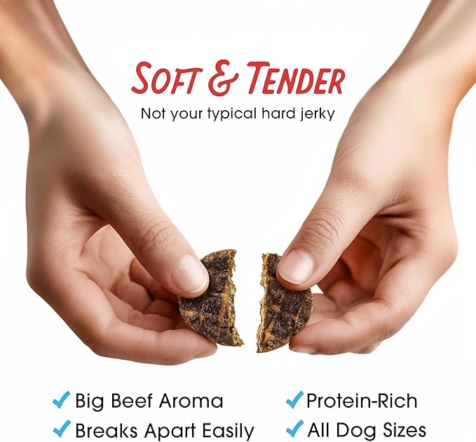 Farmland Traditions Dogs Love Beef Jerky Dog Treats with Only 3 Ingredients and No Fillers, 13.5 Ounce Bag