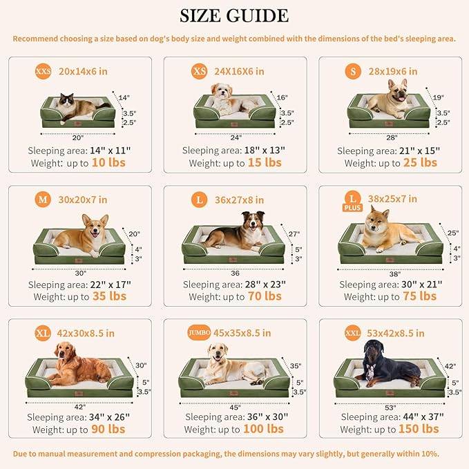 Comfort Expression Orthopedic Dog Bed for Small Dogs 20x14 Inch, Waterproof Supportive Egg Crate Foam Small Pet Bed with Removable Bolster, Dog Couch with Washable Cover & Non-Slip Bottom, Light Green